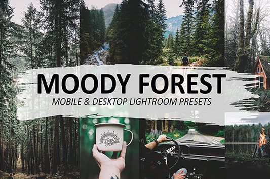 Moody Forest Lightroom Presets